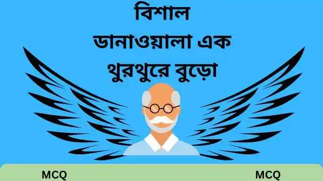 বিশাল ডানাওয়ালা এক থুরথুরে বুড়ো MCQ